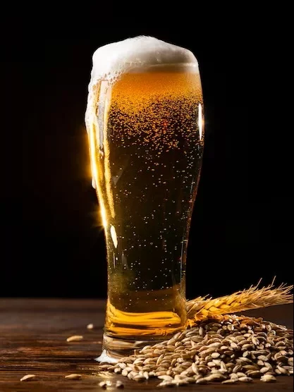trivia night in Belleville Ontario at a local bar